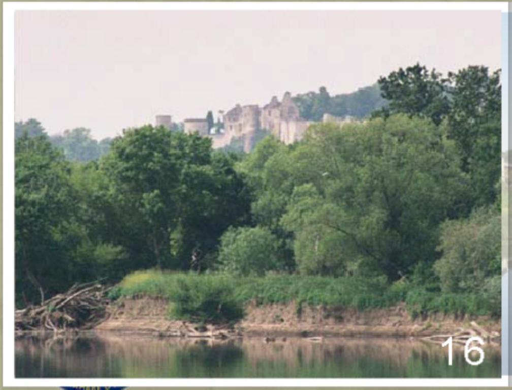 Domaine Du Heron Σινόν Εξωτερικό φωτογραφία